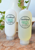 Liquid Shampoo - Peppermint & Eucalyptus